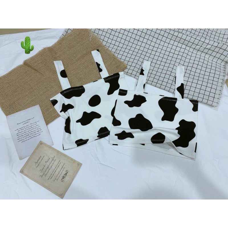 ÁO DÂY BẢN TO BÒ SỮA ẢNH THẬT