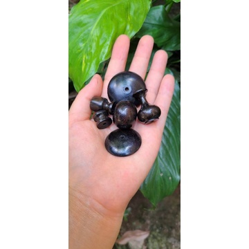 Nậm gỗ mun dành cho lồng Khuyên