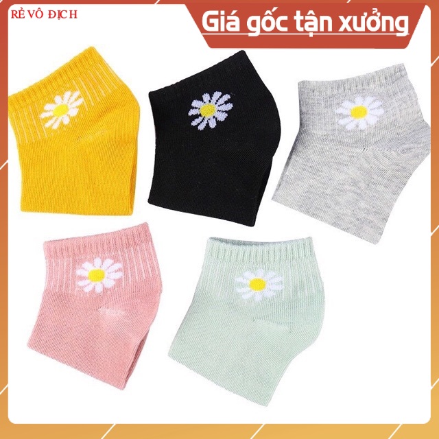 TẤT VỚ NAM NỮ MANG GIẦY CỔ TRỤ HOA CÚC 300 SIÊU DỄ THƯƠNG