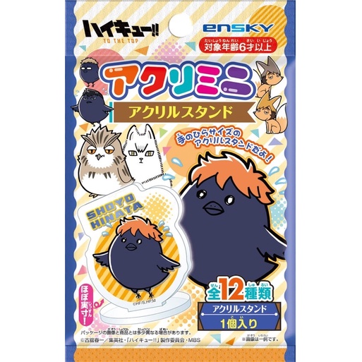 Haikyuu HQ Pack nhân phẩm Mini Standee