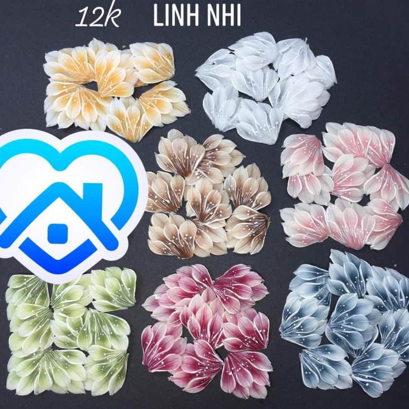 combo phan nhung