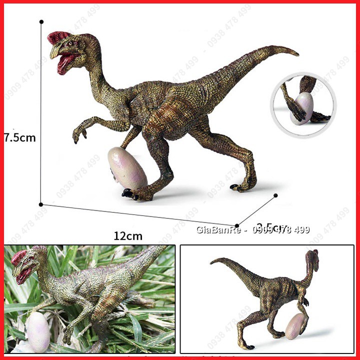 Mô Hình Khủng Long Dilophosaurus Trộm Trứng - 7749.2