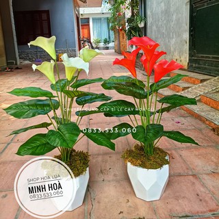 Cây Hoa Rum giả Cao 70cm, 5 bông - Ko kèm chậu - Cây cảnh giả trang trí nhà cửa,văn phòng,decor