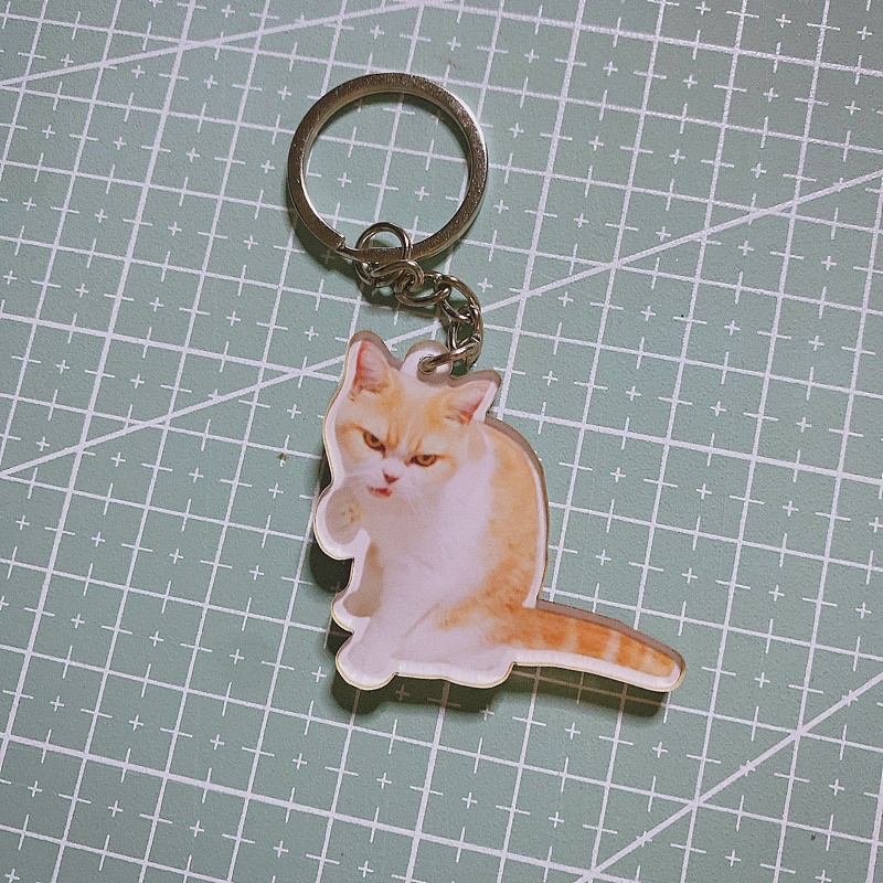 Móc khóa mica in hình mèo meme cute, giận dữ, đáng yêu, bựa