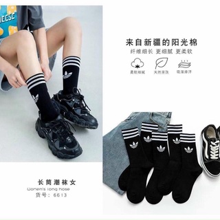 tất thể thao nam/nữ