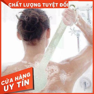 CÂY CỌ LƯNG MUJI NHẬT BẢN