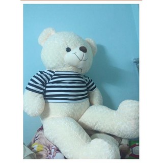 Gấu teddy nâu khổ 1m6 - 1m6 - td1m6