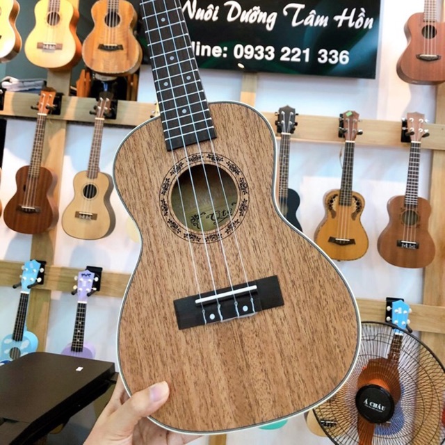 Đàn Ukulele concert