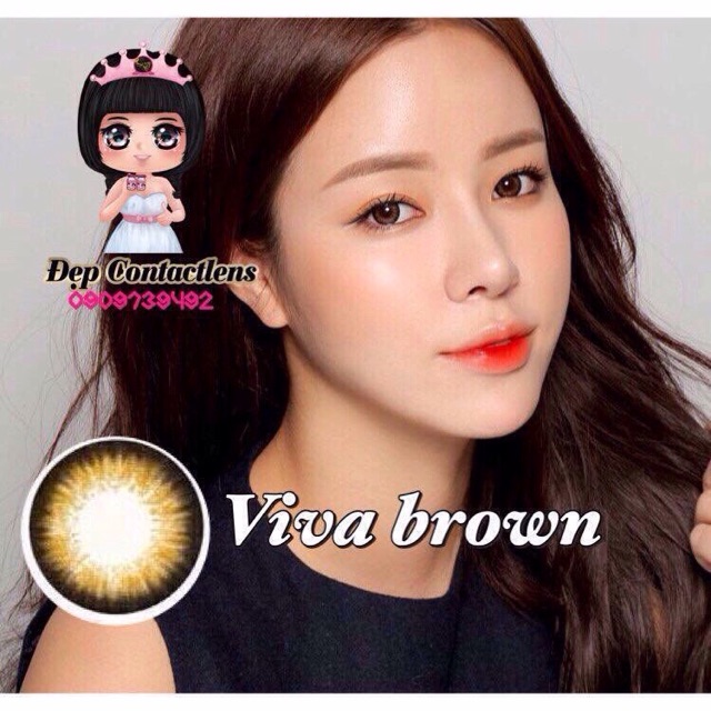 Lens Vassen Hàn Quốc_Viva Brown