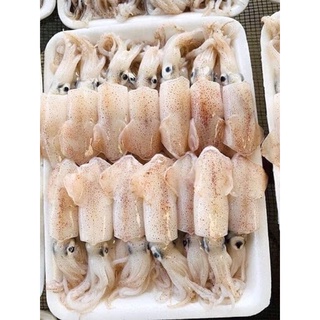 Mực trứng size 16-20 con/kg