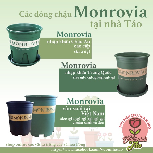 CHẬU MONROVIA hàng VIệt chất lượng cao [ size 1-5gl]