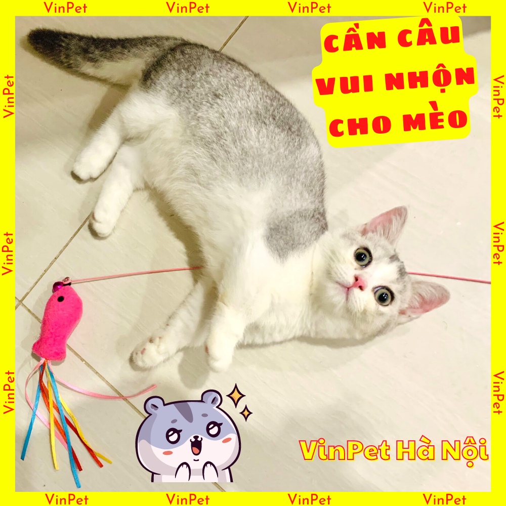 Cần Câu Mèo Dây Thép Đồ chơi cho mèo