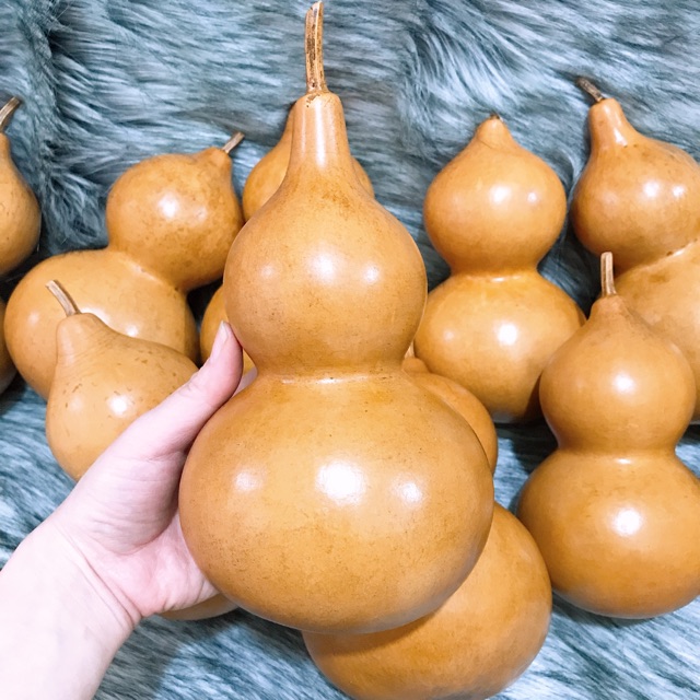 Bầu hồ lô khô tự nhiên