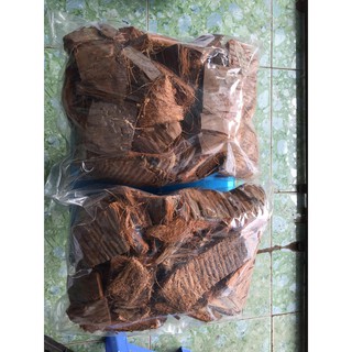 2 túi Xơ dừa ghép lan