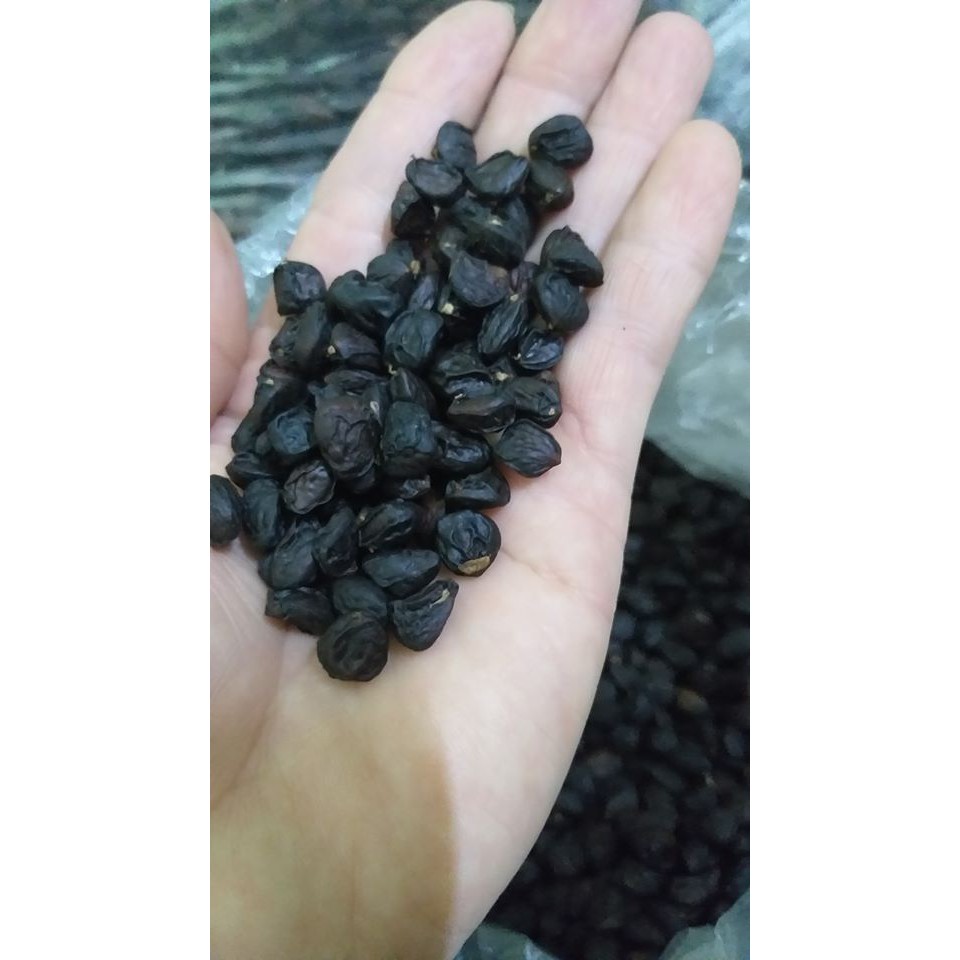 Hạt Dổi Rừng Hà Giang Gói 100Gr - DiTi Food | BigBuy360 - bigbuy360.vn