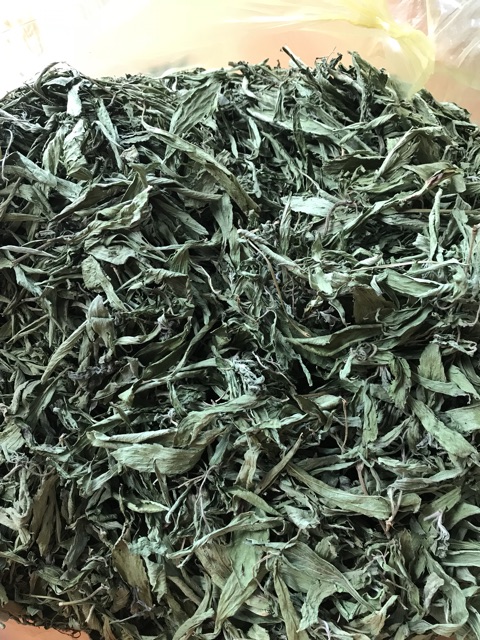 Trà cỏ ngọt lá | BigBuy360 - bigbuy360.vn