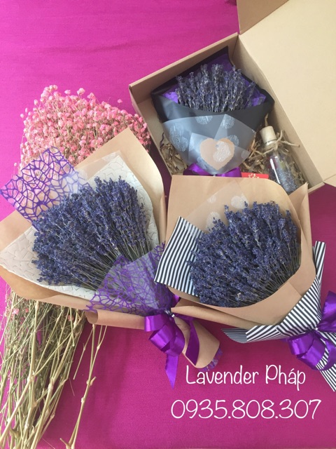 Hoa Lavender Pháp