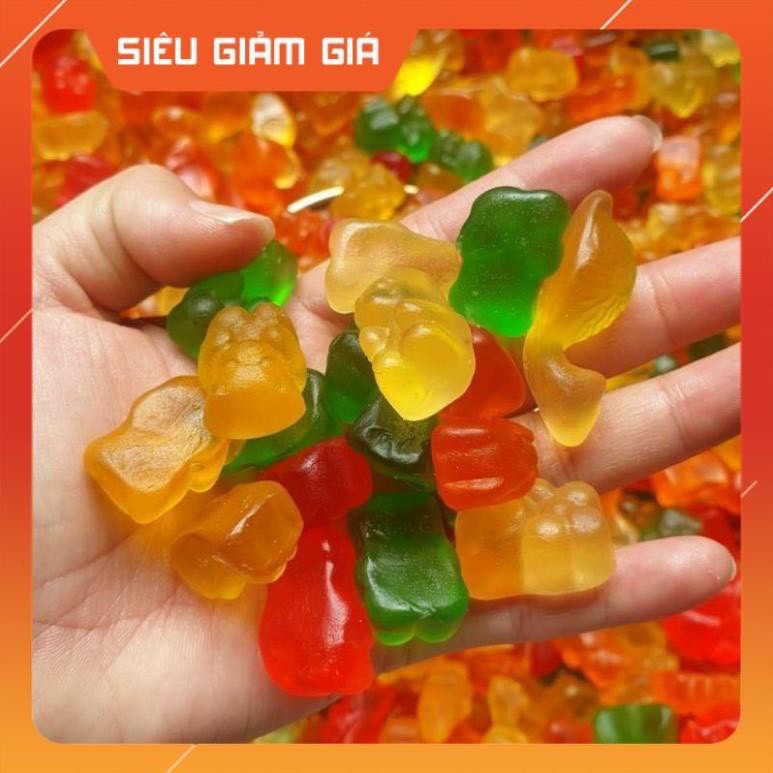 Khuôn làm kẹo chip, kẹo dẻo nhiều hình Viên kẹo / Vòng tròn / Xương rồng / Bàn chân chó