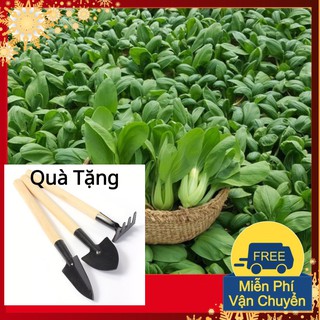 Hạt Giống Cải Chíp Tặng Bộ Dụng Cụ Mini Trồng Cây Tặng Bộ Dụng Cụ Mini Trồng Cây