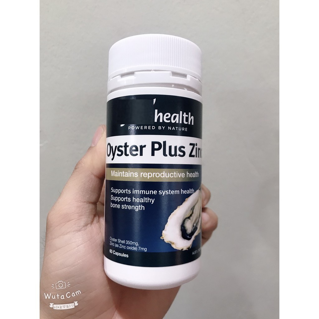 Hàu Oyster Plus 60 viên - Hàu Cao- Mẫu mới