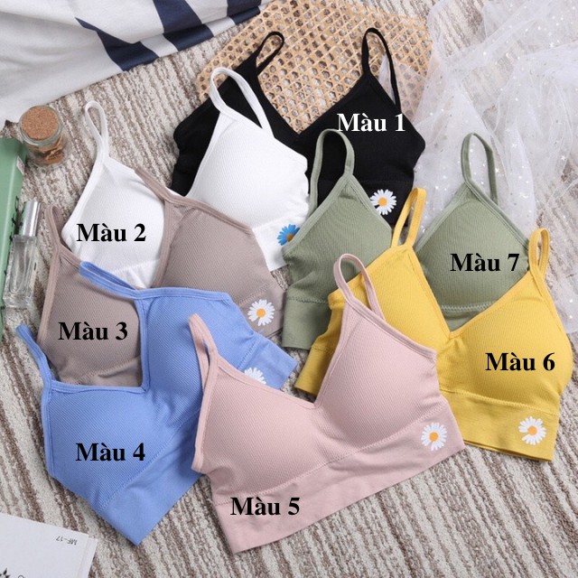 ÁO LÓT BRA HOA CÚC 2 DÂY HỌC SINH TIỂU THƯ ABR002