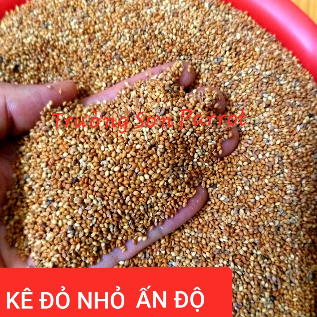 Kê đỏ nhỏ (gói 1000g) cho vẹt, sóc, chuột, hamster, chim cu, yến hót, bảy màu....