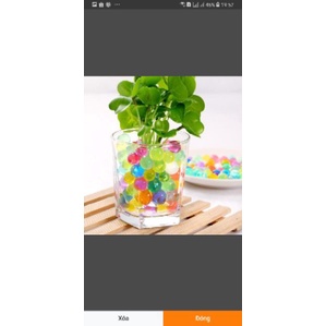 Hạt nở cứng 7mm trồng cây, đồ chơi - gói 10.000 hạt