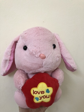 Thỏ cute đáng yêu (ảnh thật)