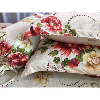 Bộ Drap Thun Hàn Quốc Mát Lạnh { 4 món }