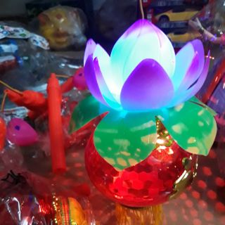 Combo 22 đèn trung thu