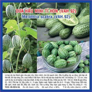 Hạt giống Dưa Hấu Mini tí hon (VAH.92) – 20 Hạt