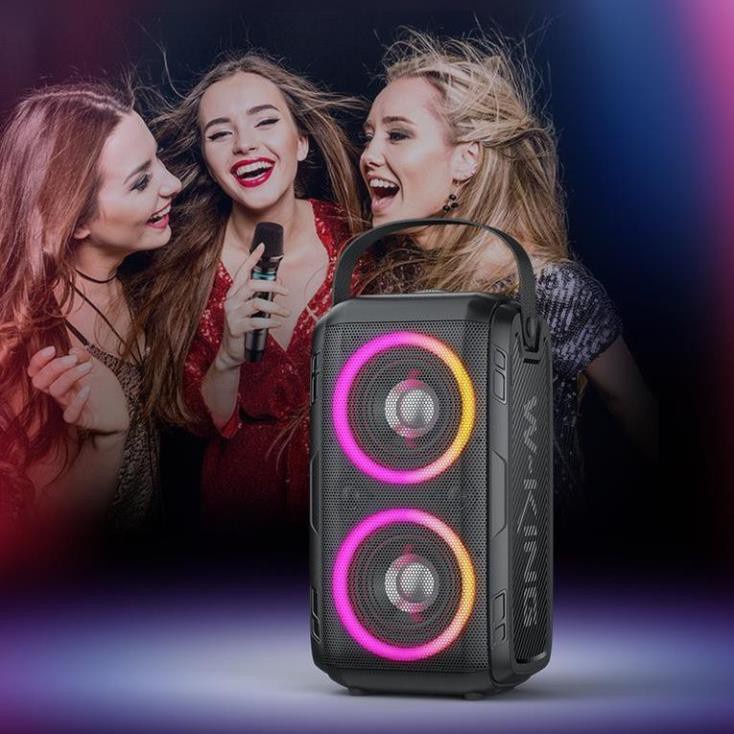 Loa bluetooth W-KING T9, Loa karaoke di động, công suất cao 80W, đèn led RGB+ KÈM 1 micro, âm thanh đỉnh cao, chất lượng