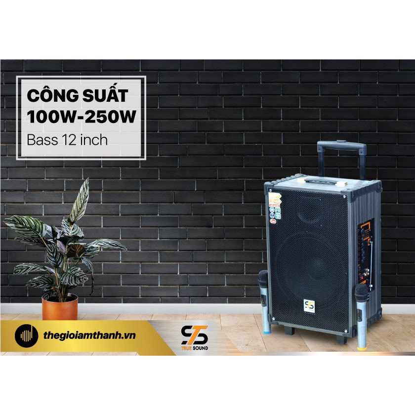 Loa kéo True Sound SN-12S