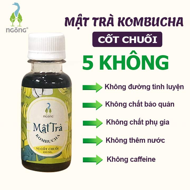 Mật Trà Kombucha Cốt Chuối 100ml Vị Chua Ngọt Tự Nhiên