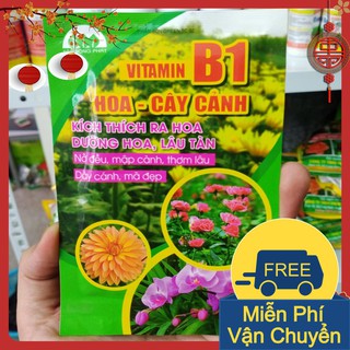 Phân bón vitamin b1 cho lan, hoa và cây cảnh