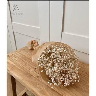 Hoa Khô Decor🌸Hoa Baby🌸 Trang trí phong cách Retro, Vintage
