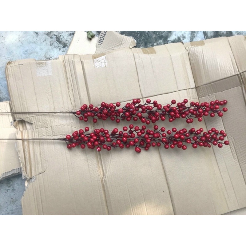 Đào đông 12 nhánh