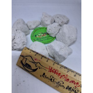 1kg Đá Nham Thạch Trắng 3-5cm (Đá Lông Vũ Hàng Thổ Nhĩ Kỳ TURKEY, Lót Chậu, Lọc Nước, Phủ Đất