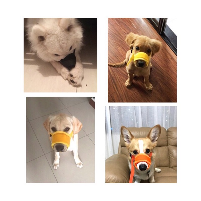 Rọ Mõm Vải Dán Cho Chó