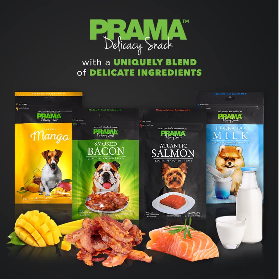 Bánh thưởng que mềm Prama Thái Lan cho chó 70g