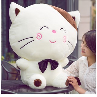 Gấu Bông Mèo MengMeng Gấu Bông Shop tại Hà Nội ( size 65cm, có ảnh thật )