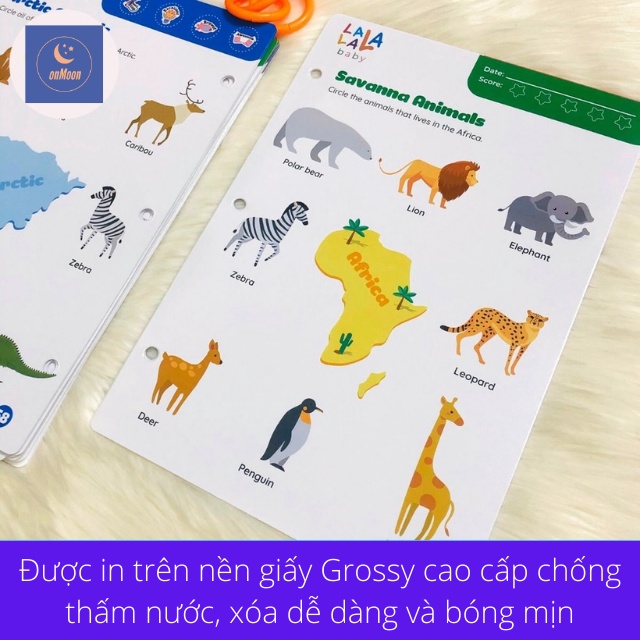 Đồ chơi giáo dục sớm montessori thẻ học flashcard bé viết tập vẽ tập tô màu thông minh xóa được made in việt nam