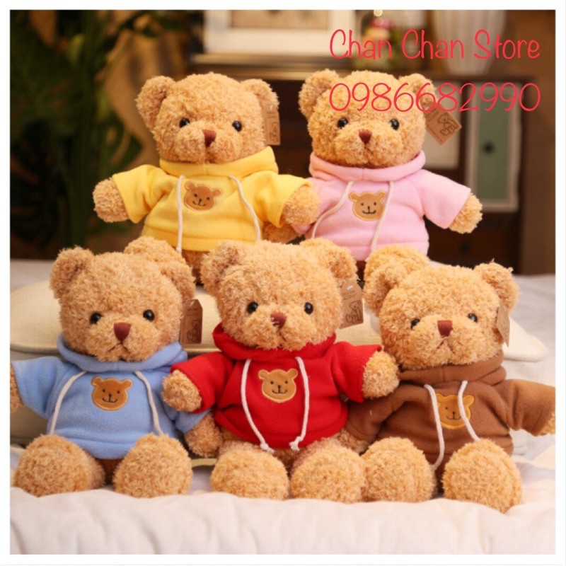 Gấu bông Teddy mặc áo 30cm Mềm mịn cao cấp