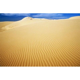 Cát NẮNG VÀNG trải nền hồ cá-- mang cả không gian vào bể cá