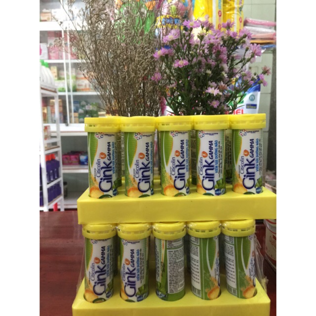 VIÊN SỦI DƯỠNG NÃO GINK GAMMA