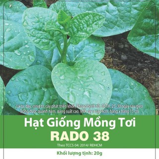 Hạt giống mồng tơi rado 38