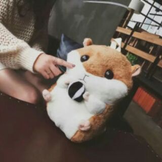 Balo sóc cute