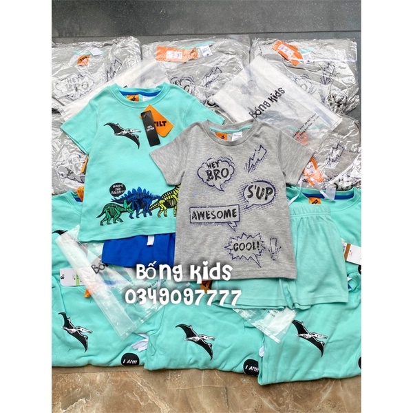 Bộ Hè Bé Trai In Hình TILT