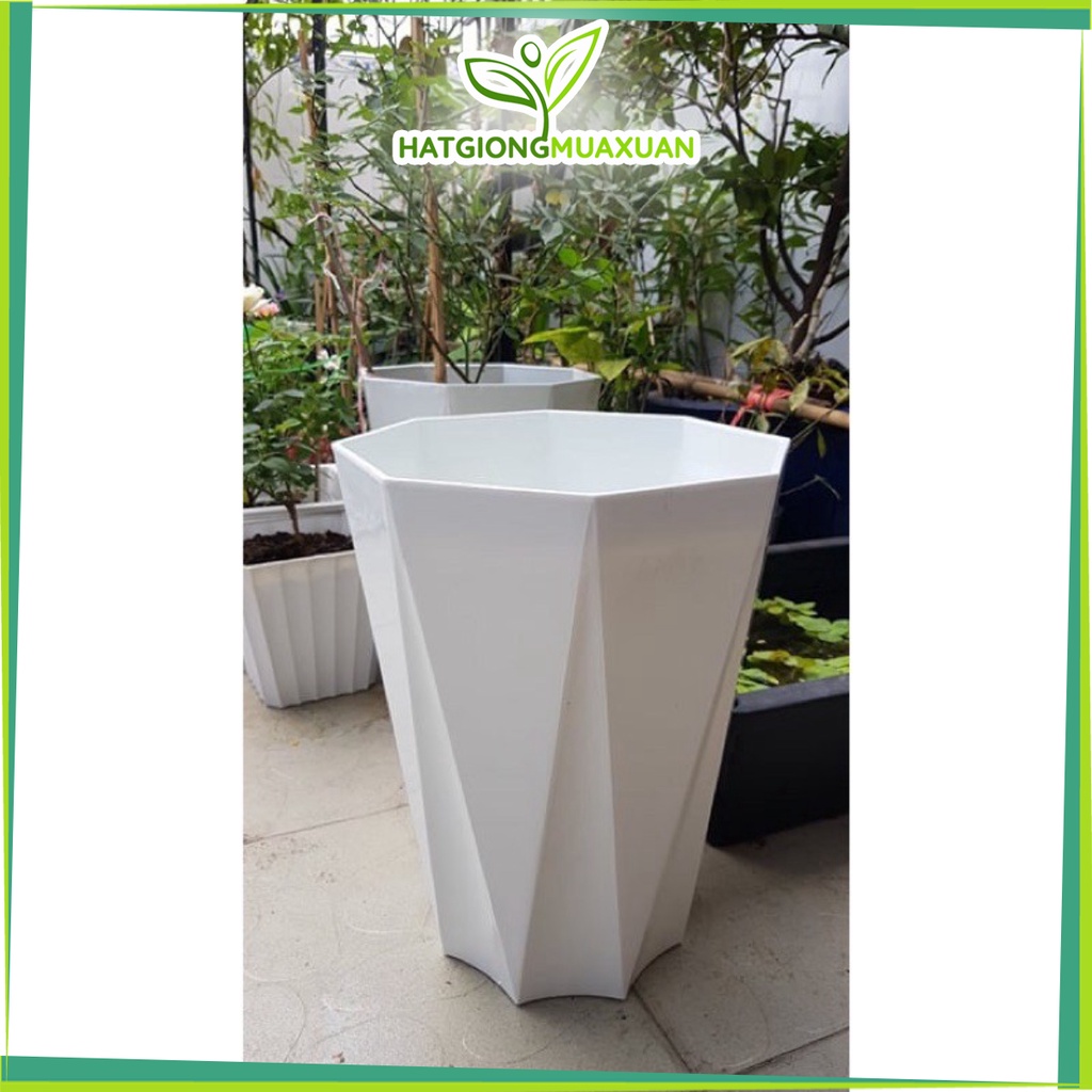 Set 5 Chậu nhựa kim cương đại đk 35 cao 43