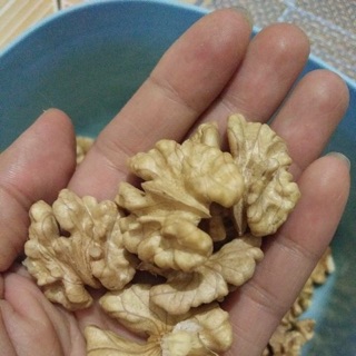 Combo 1kg nhân óc và 500g hạnh nhân trần giá 460k